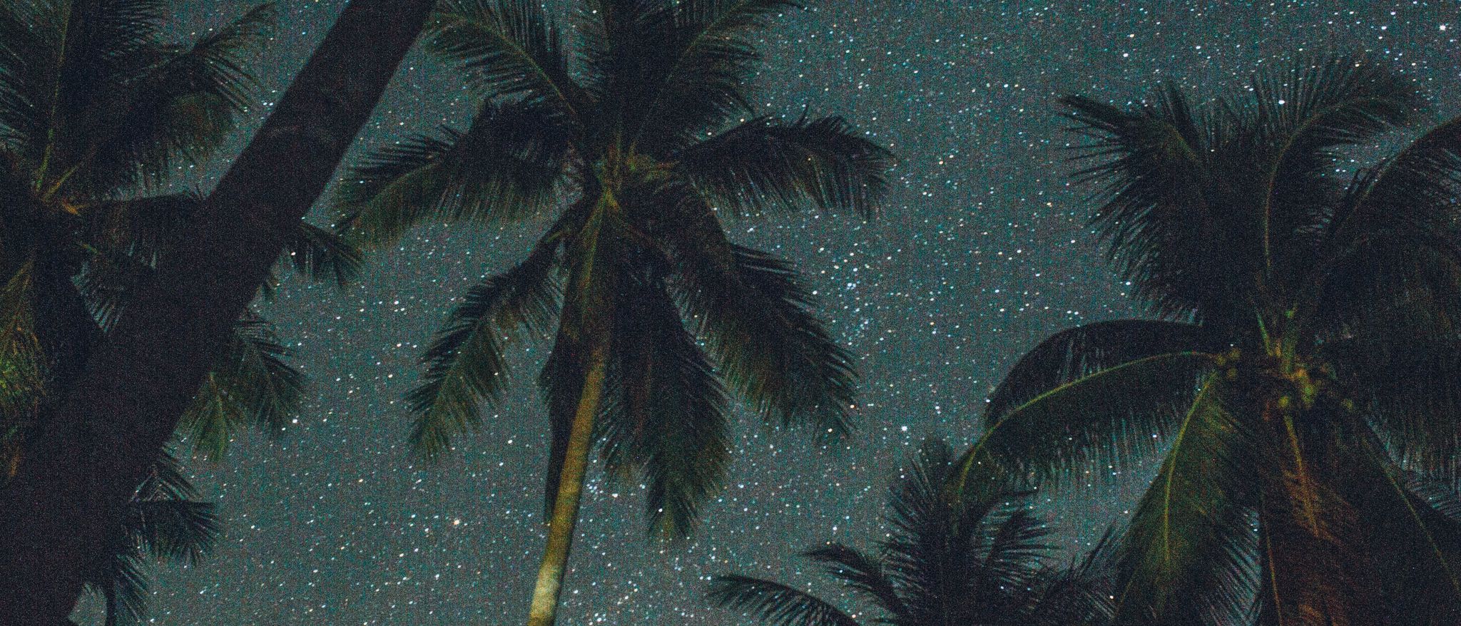 A landscape image